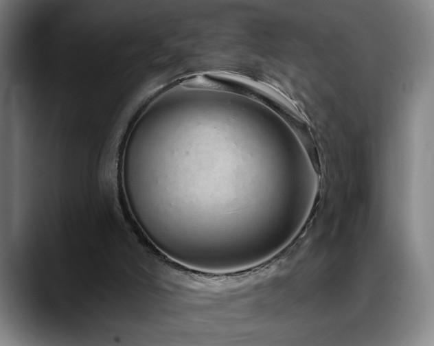 X0000090610006200707171425