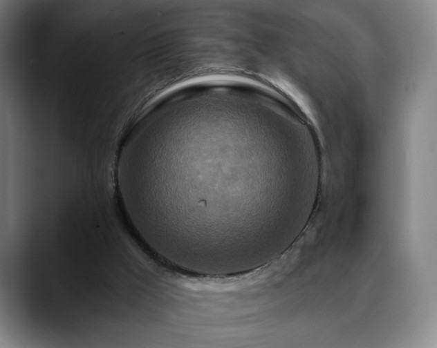 X0000090610009200707171425