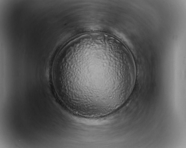 X0000090610010200707171425