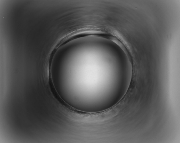 X0000090610011200707171425