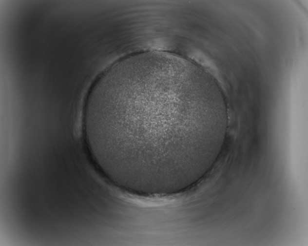 X0000090610012200707171425