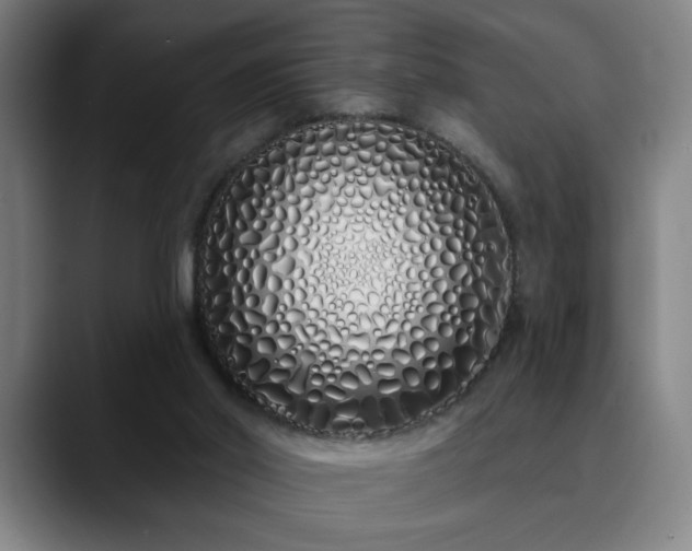 X0000090610014200707171425