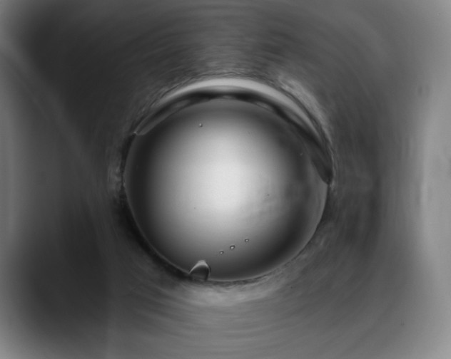 X0000090610017200707171425