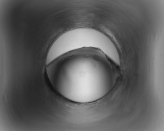 X0000090610019200707171425