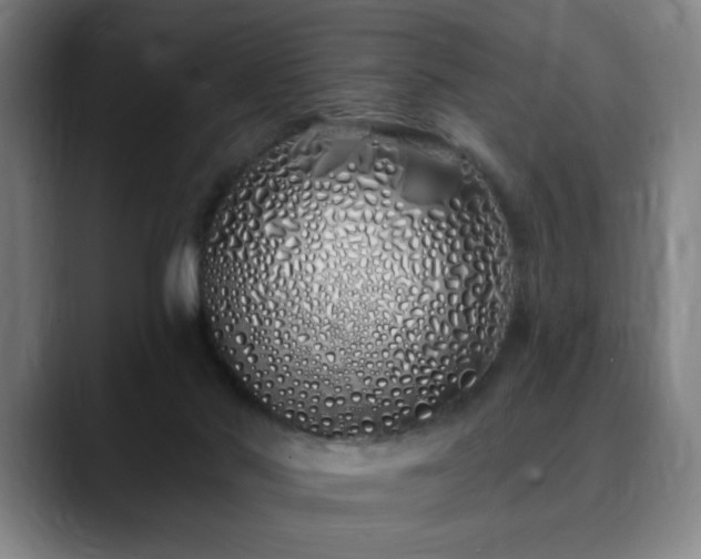 X0000090610022200707171425