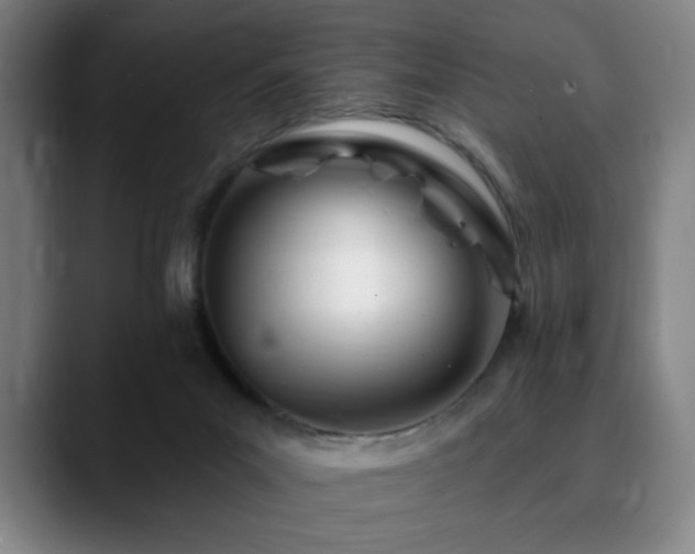 X0000090610023200707171425