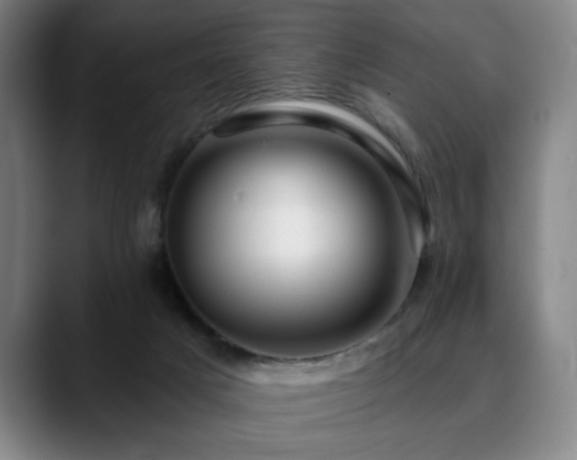 X0000090610025200707171425