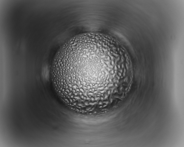 X0000090610026200707171425