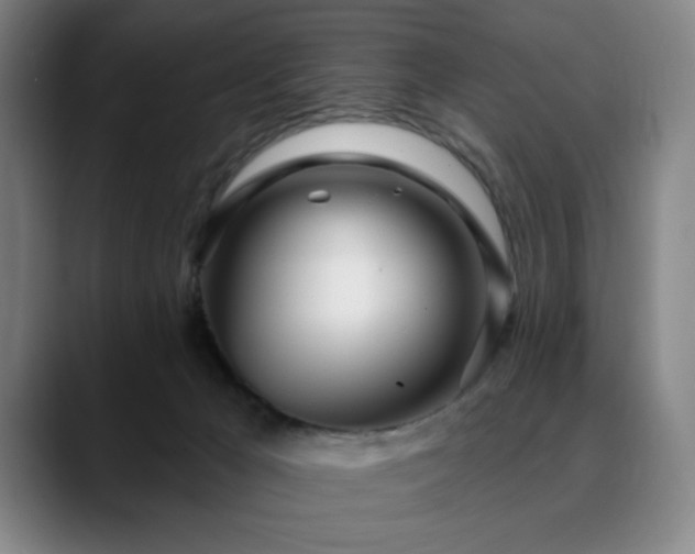 X0000090610029200707171425