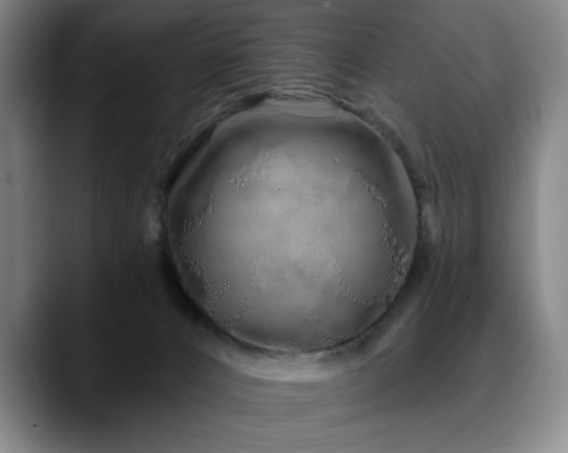 X0000090610032200707171425