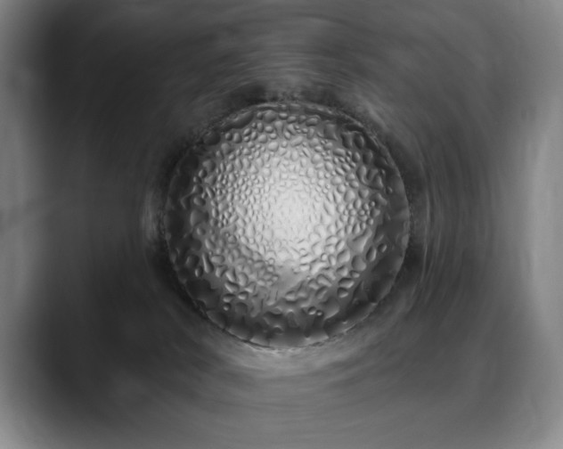 X0000090610038200707171425