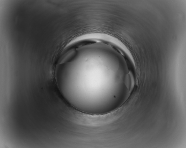 X0000090610039200707171425