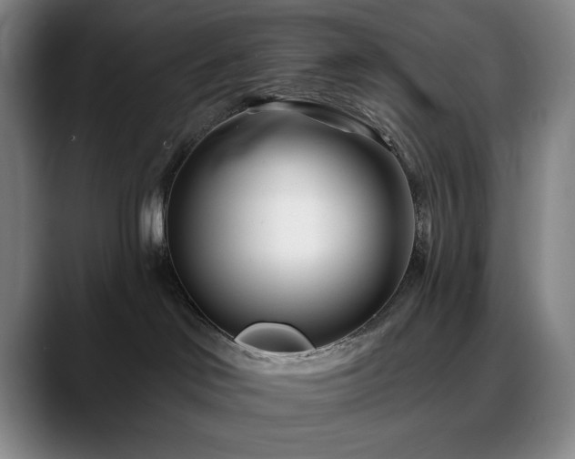 X0000090610046200707171425