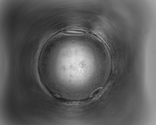 X0000090610049200707171424