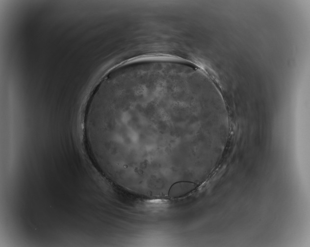 X0000090610053200707171424