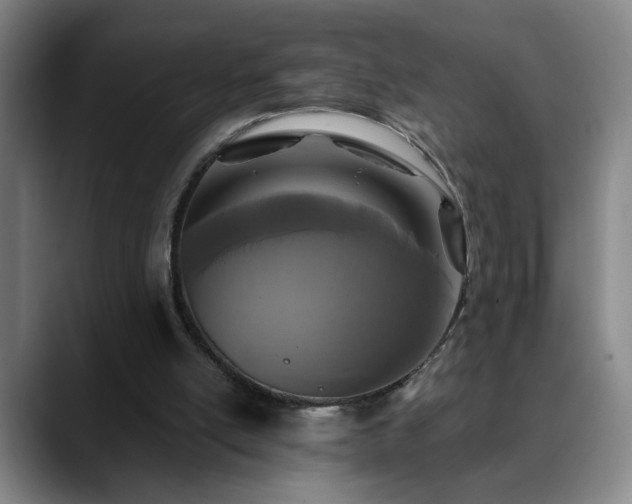 X0000090610054200707171424