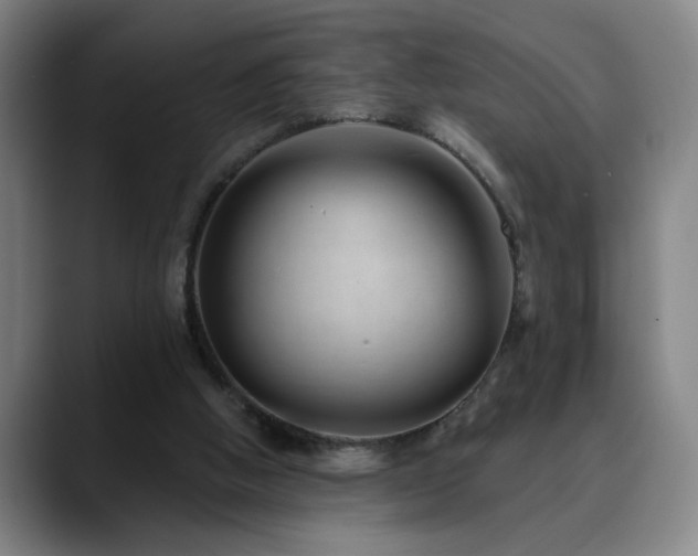 X0000090610058200707171424