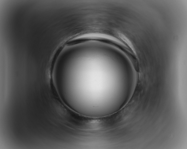 X0000090610059200707171424