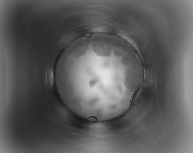 X0000090610061200707171424