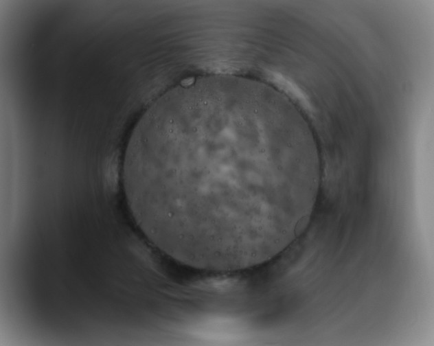 X0000090610065200707171424