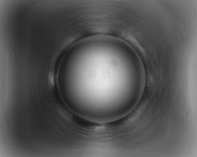 X0000090610068200707171424