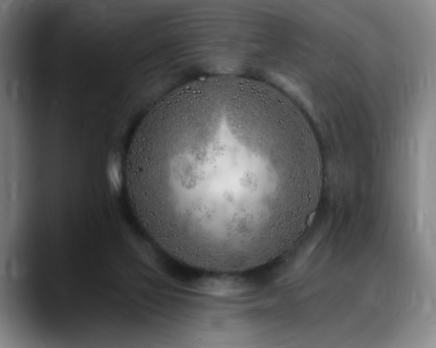 X0000090610069200707171424