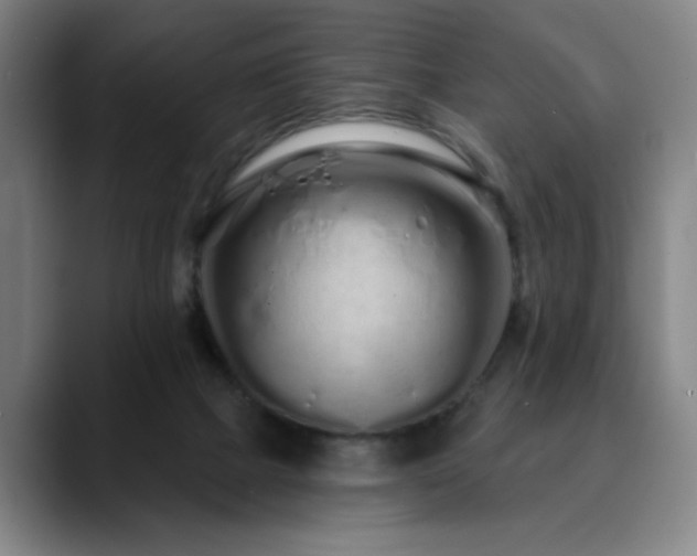 X0000090610073200707171424