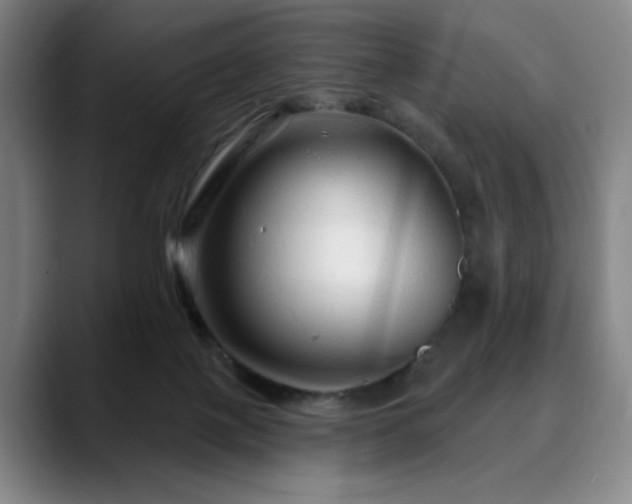 X0000090610075200707171424