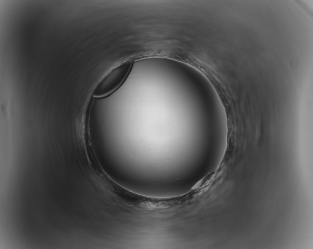 X0000090610100200707171424