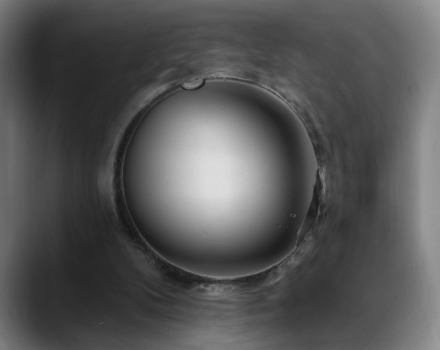 X0000090610104200707171424