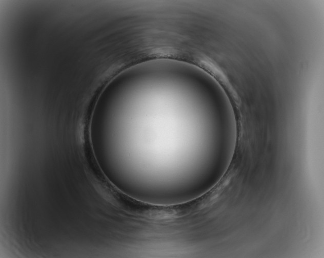 X0000090610106200707171424