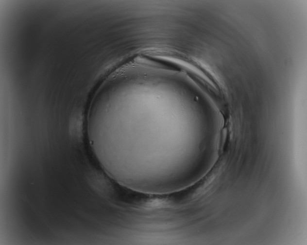 X0000090610111200707171424