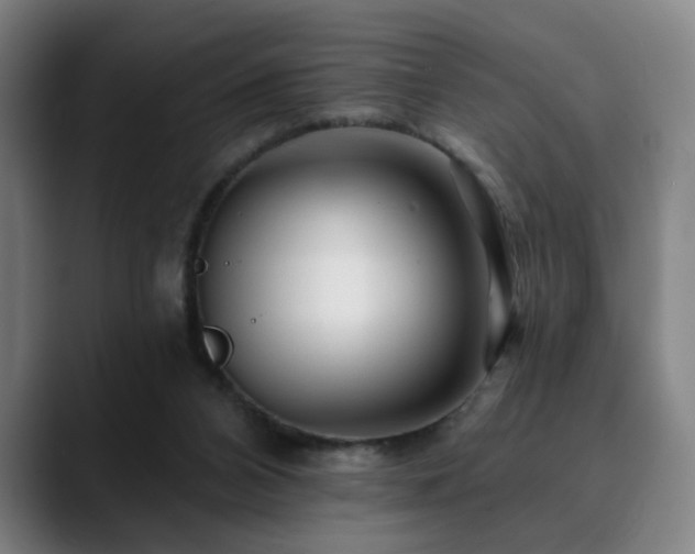 X0000090610112200707171424