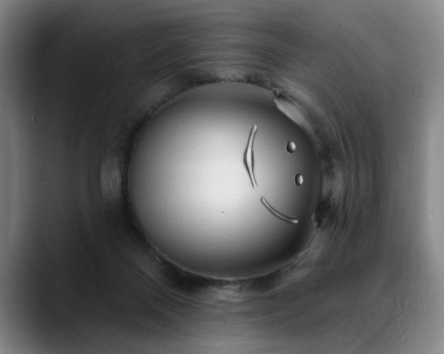 X0000090610120200707171424