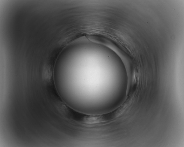 X0000090610129200707171424