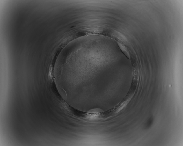 X0000090610143200707171424