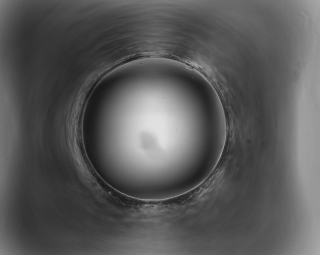 X0000090610145200707171423