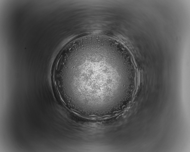 X0000090610147200707171423