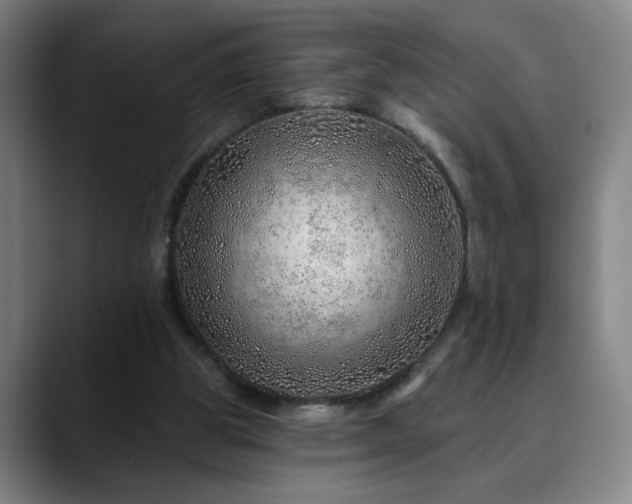 X0000090610153200707171423