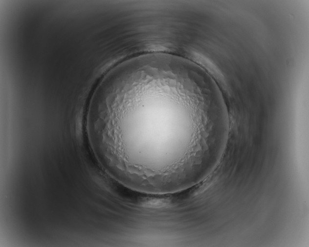 X0000090610155200707171423