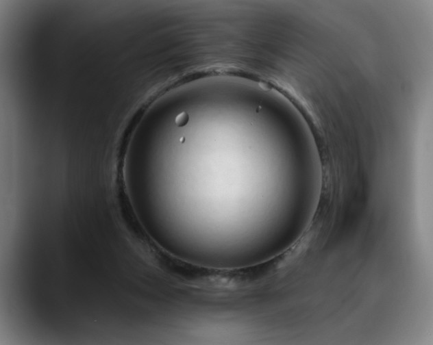 X0000090610159200707171423