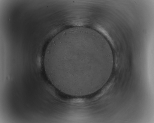 X0000090610161200707171423