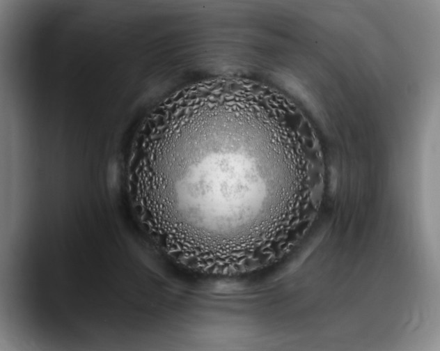 X0000090610165200707171423