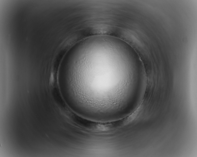 X0000090610166200707171423