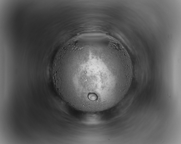 X0000090610169200707171423