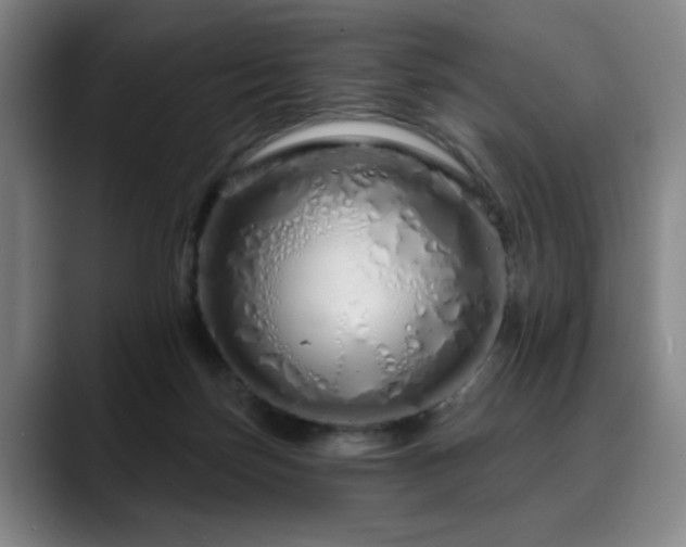 X0000090610171200707171423