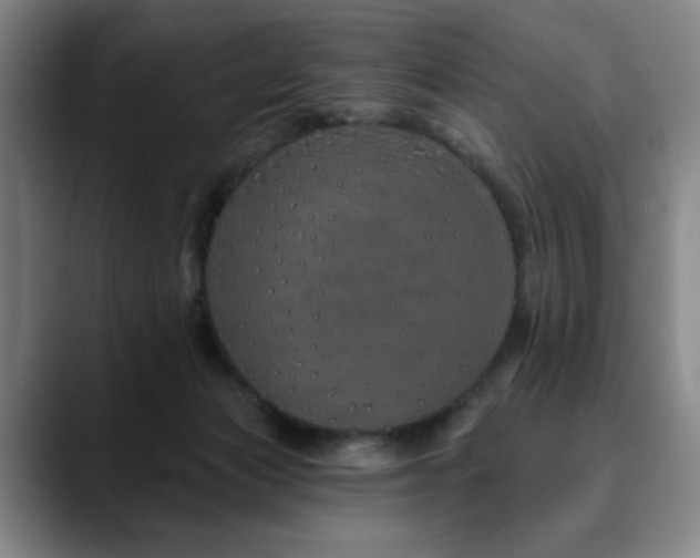 X0000090610173200707171423