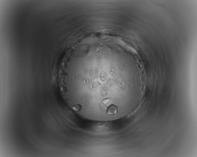 X0000090610175200707171423