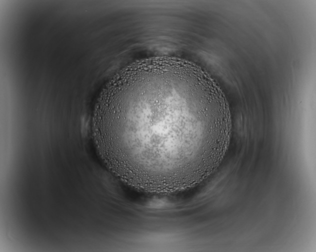 X0000090610177200707171423