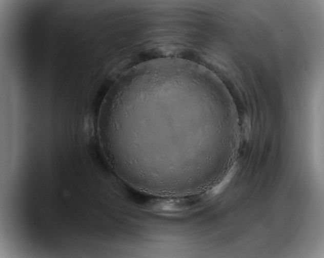 X0000090610182200707171423